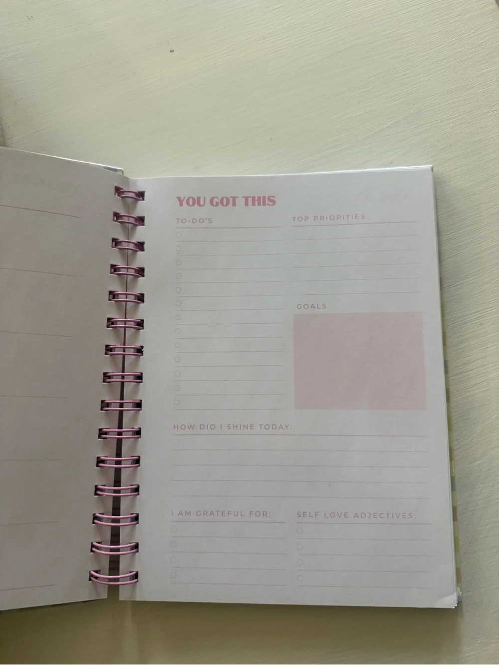 Stoney Clover x Target Plaid Spiral-Bound Planner with Pink Coil